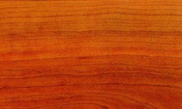 3250-Зимняя-вишня